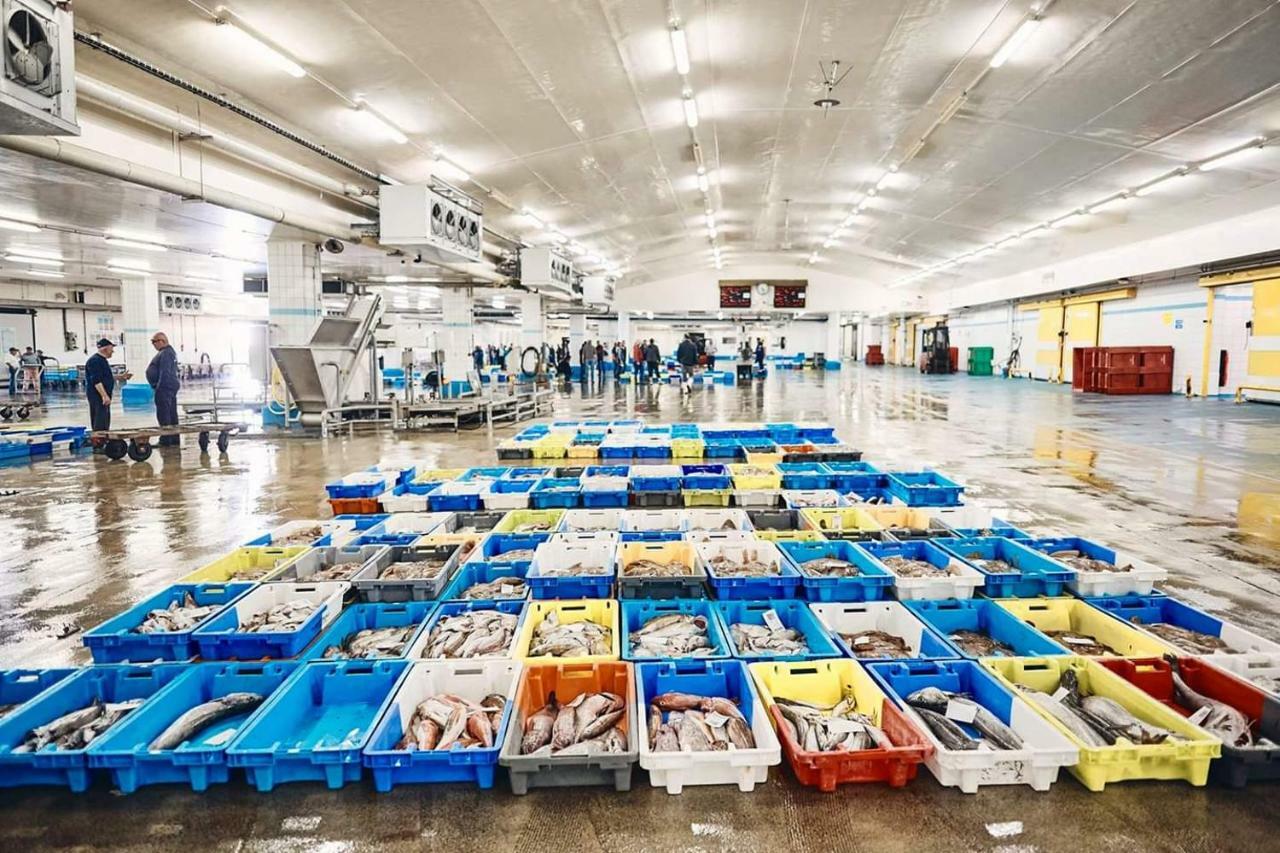 Au Bout Du Port Lejlighed Guilvinec Eksteriør billede